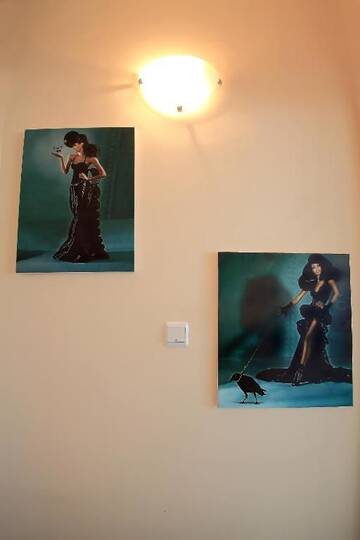 Фото номера Вилла с 6 спальнями и отдельным бассейном Виллы Villa Emloti Art-Decor &amp; Fashion Boutique г. Балчик 113