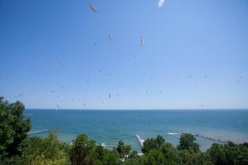 Фото номера Superior Twin Room  with Balcony and Sea View Отель Bisser Hotel - Free Parking - Free Pool Access г. Балчик 4