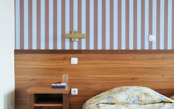 Фото номера Двухместный номер с 1 диваном-кроватью Отель Selena Hotel г. Балчик 4