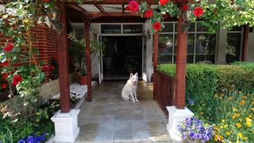 Фото Отель Victoria Family Hotel г. Балчик 4